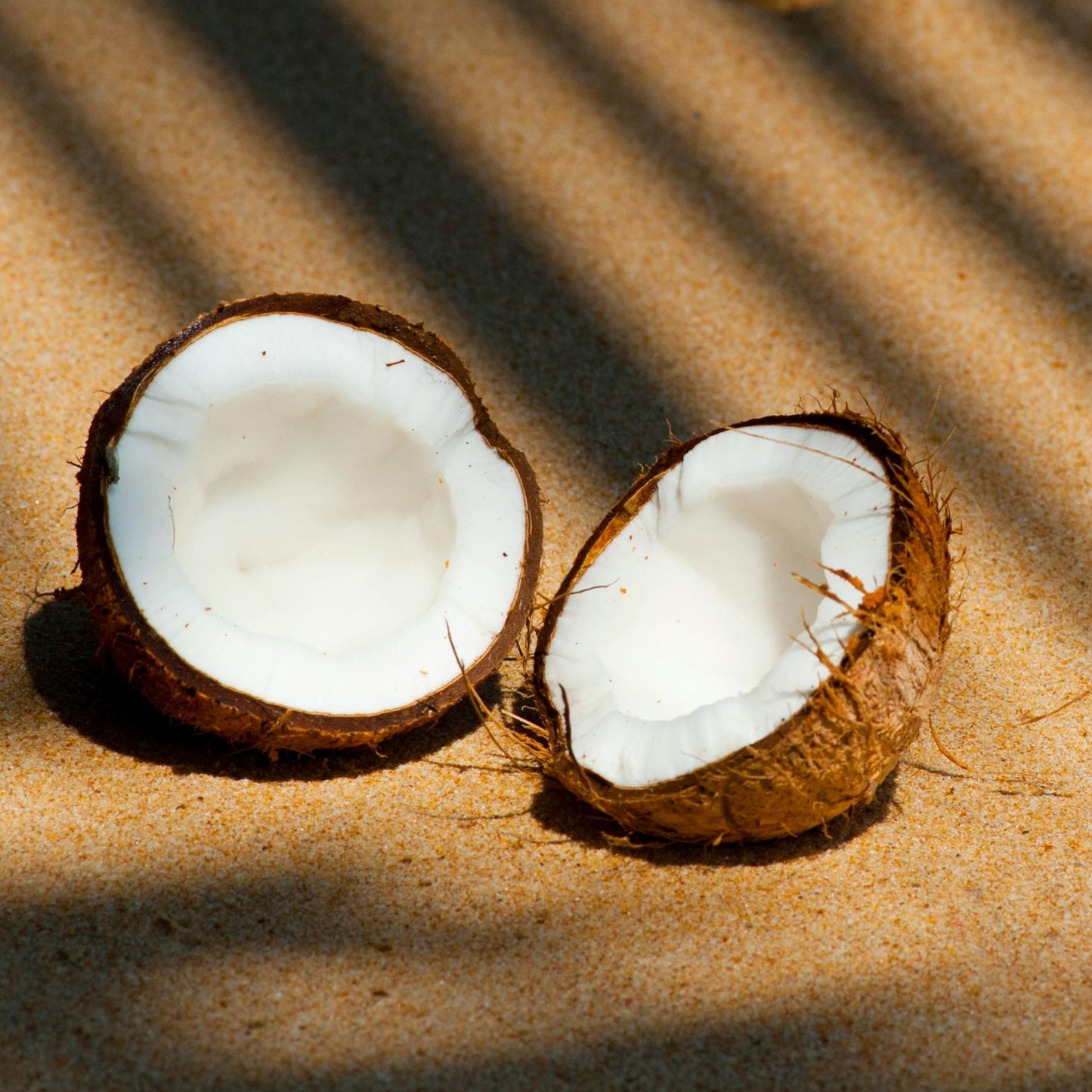 Coconut
